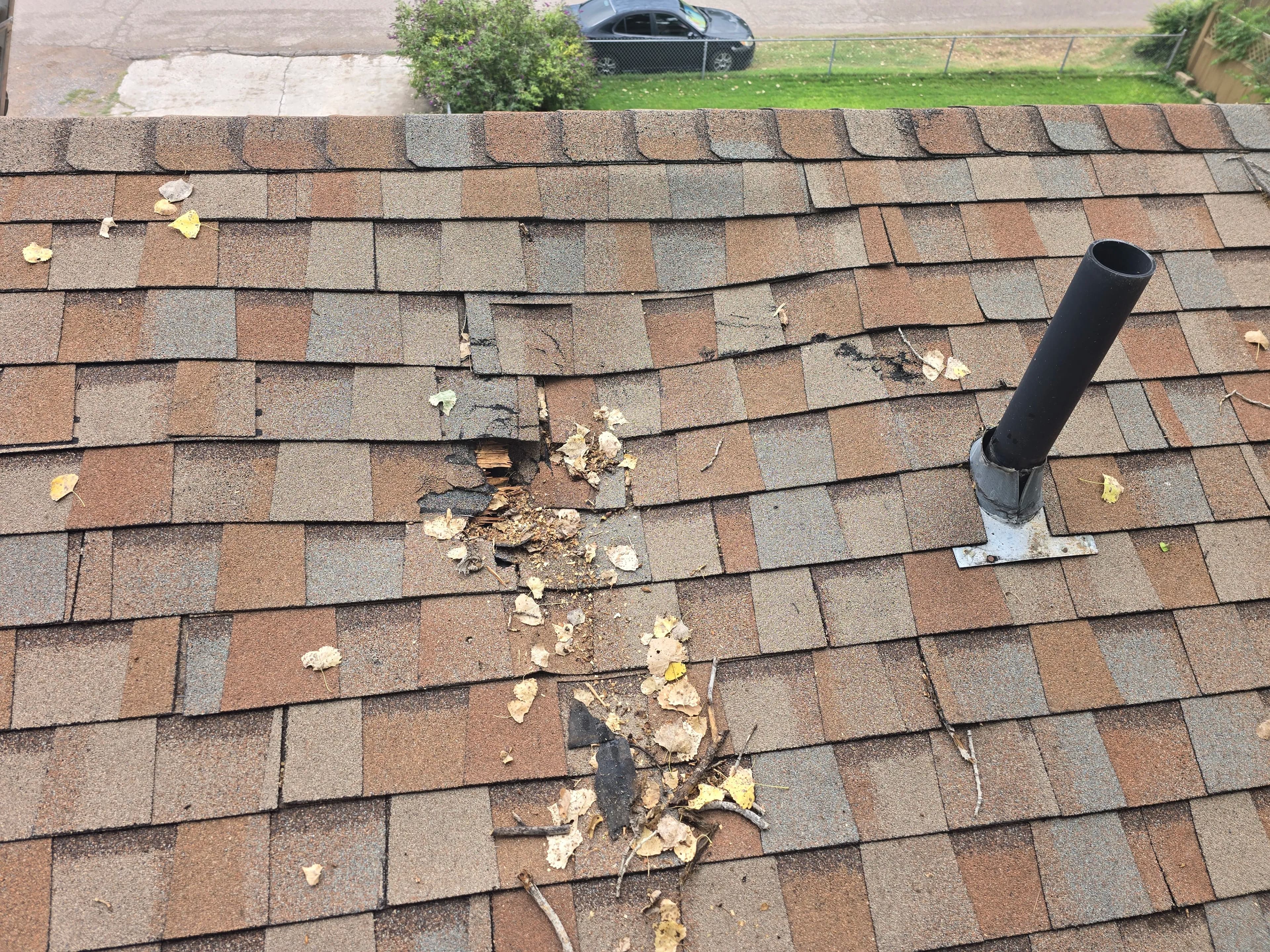 Project When a Shingle Repair Turns Into Something Much Bigger image
