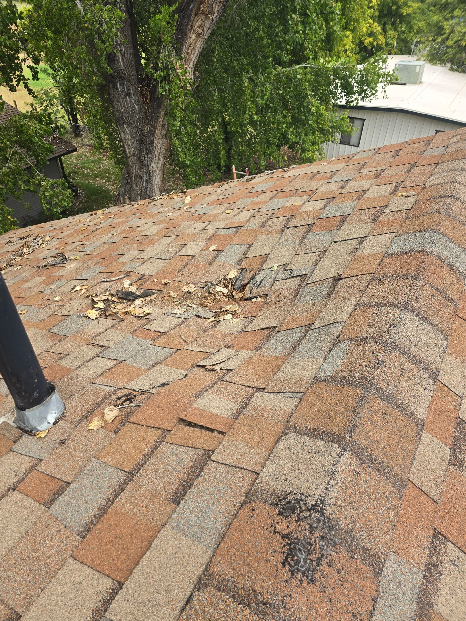 When a Shingle Repair Turns Into Something Much Bigger