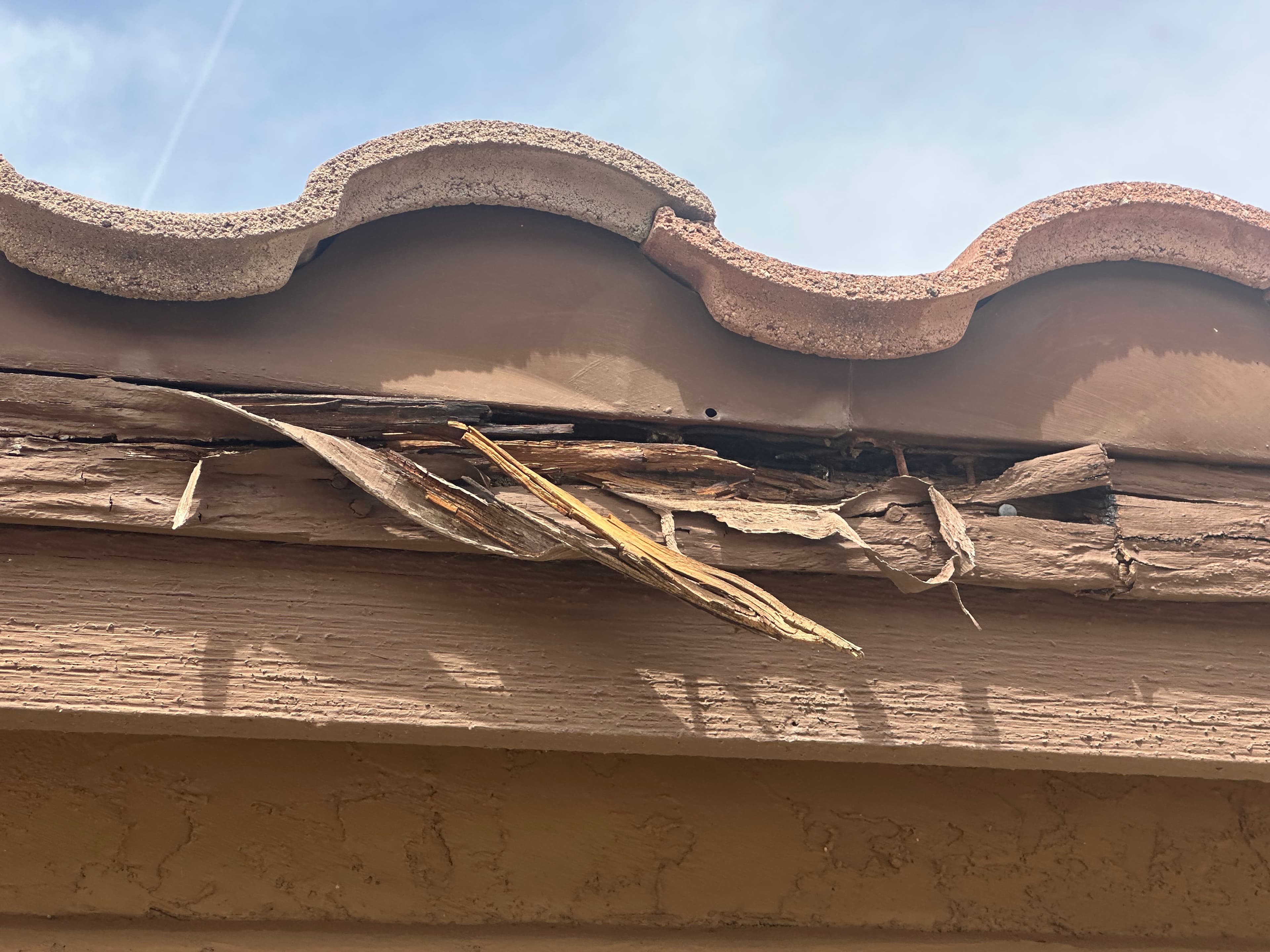 Project Urgent Roof Repair Solutions in Anthem image