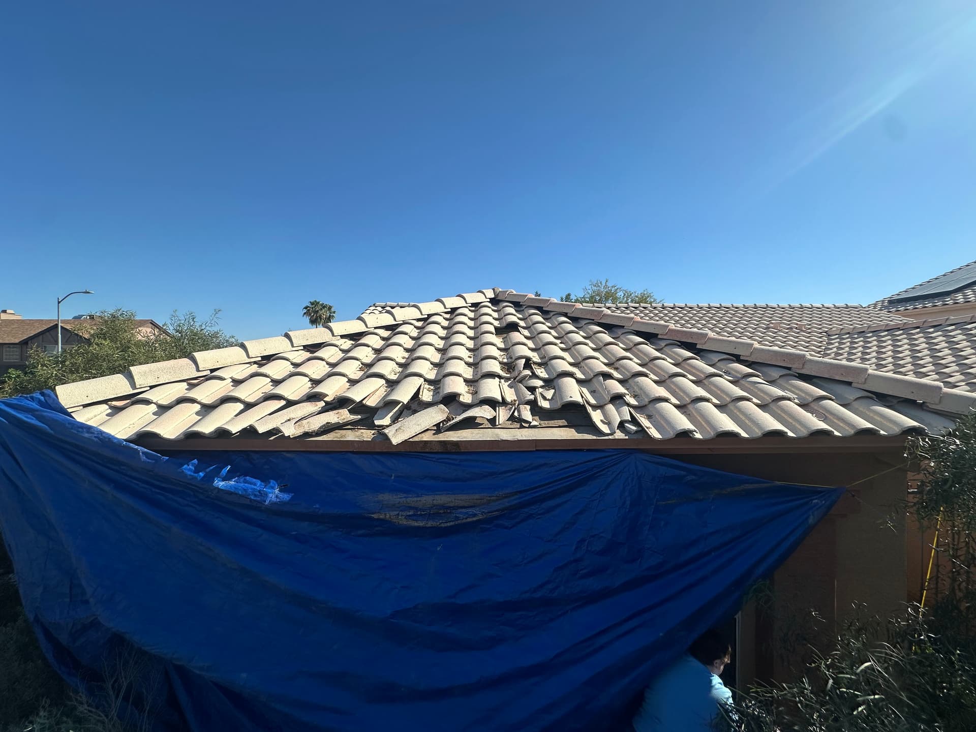 Fallen Saguaro Crushes Roof - Here's How We Handled It image