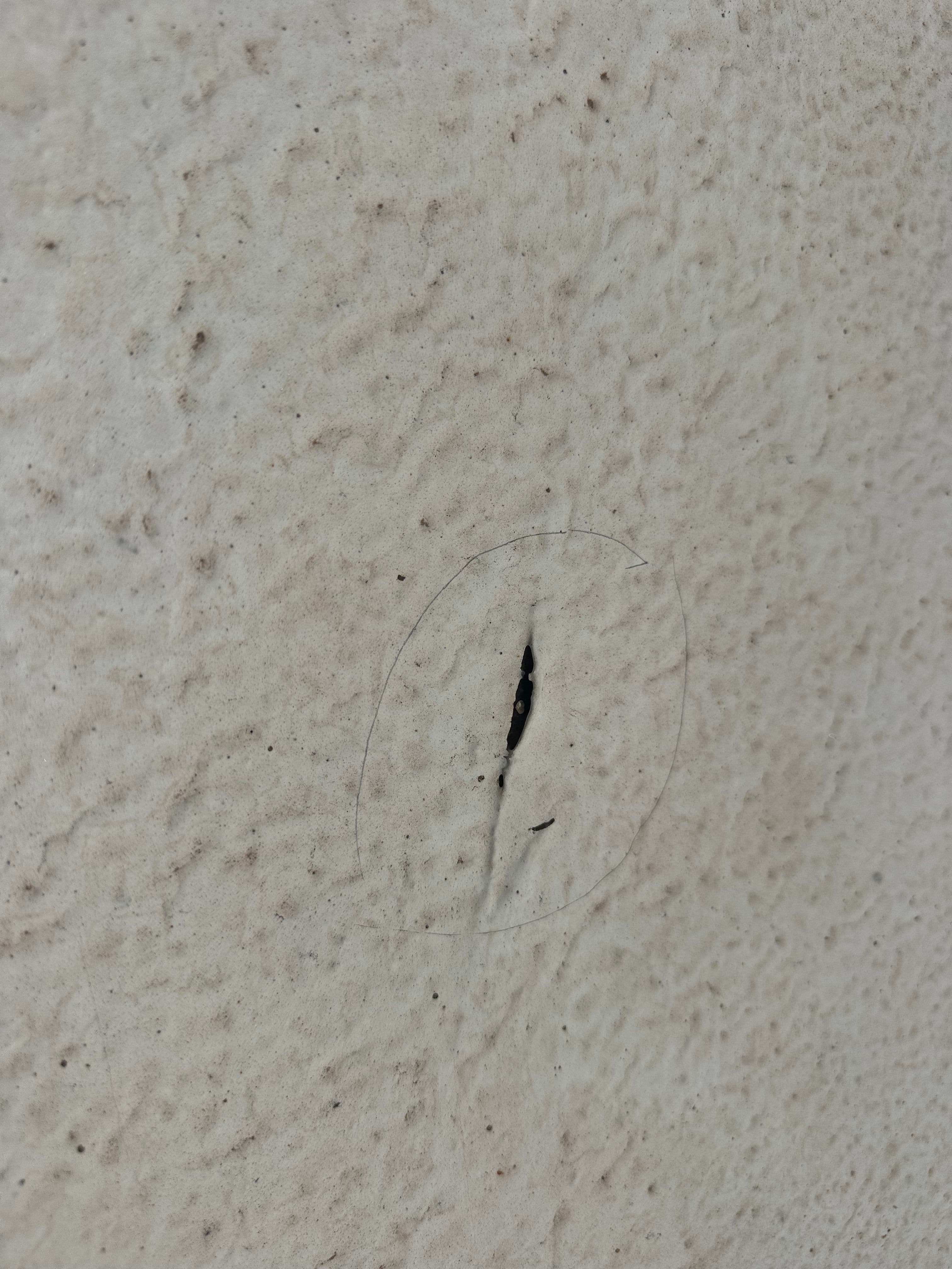 Project Flat Roof Repairs Underway for Commercial Building image