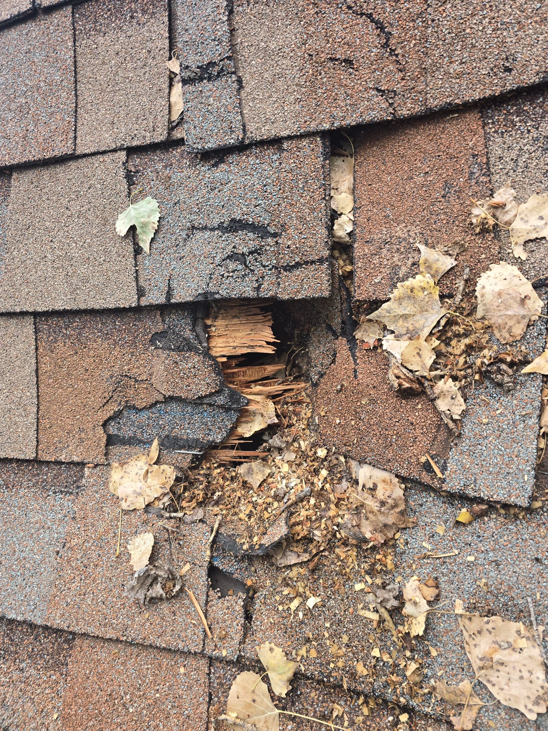 When a Shingle Repair Turns Into Something Much Bigger